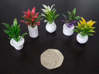 1:12 Scale Dolls House Miniature - Set of 5 Potted Plants with Pots